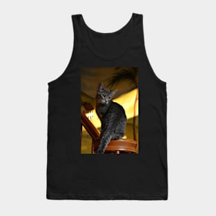 Kitten Tank Top